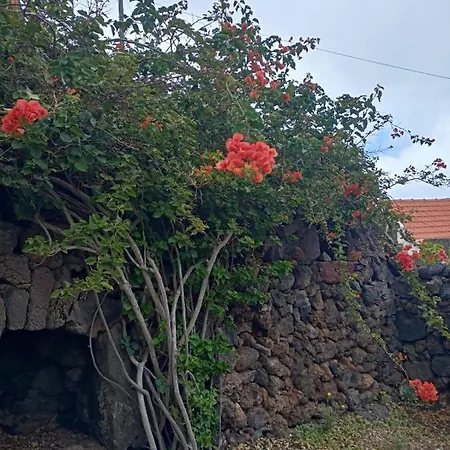 Casa De Arcos Tatil Evi