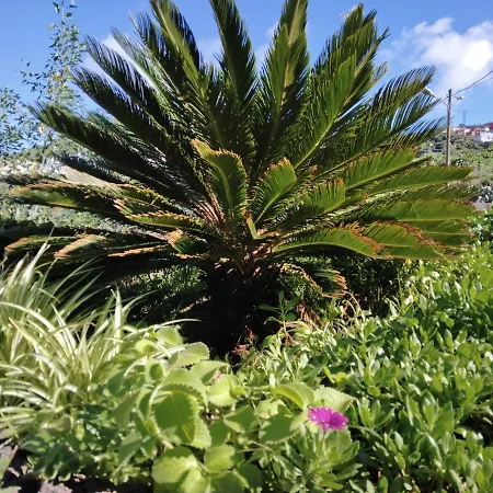 Casa De Arcos Ferienhaus