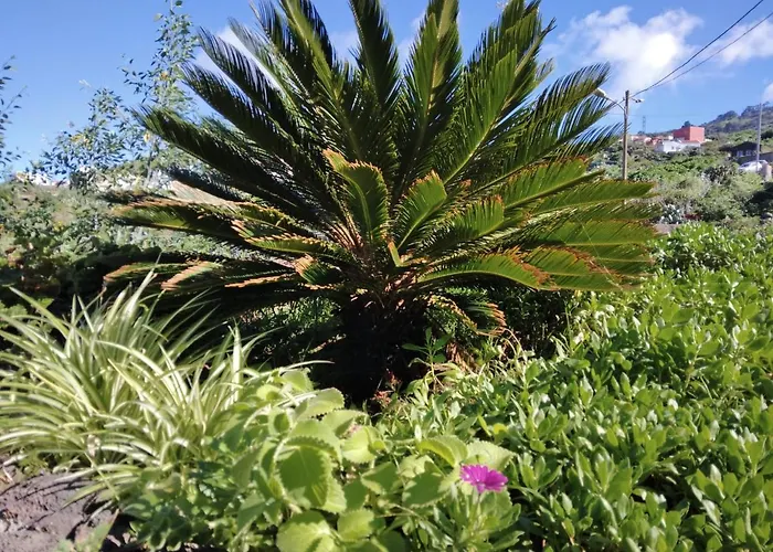 Casa De Arcos 度假居